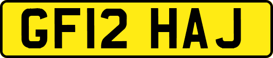 GF12HAJ