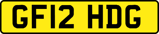 GF12HDG