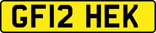 GF12HEK