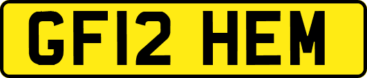 GF12HEM