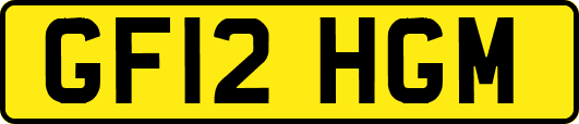 GF12HGM
