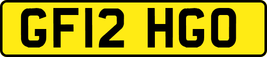 GF12HGO