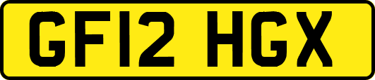GF12HGX