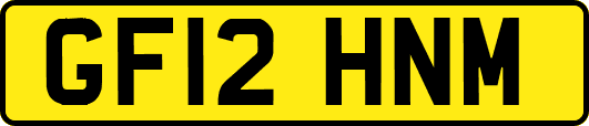 GF12HNM