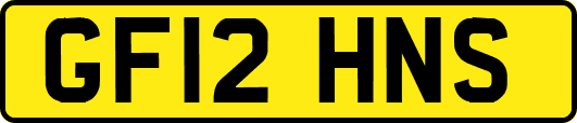 GF12HNS