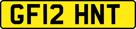 GF12HNT
