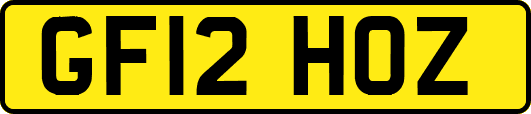 GF12HOZ