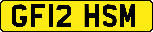 GF12HSM