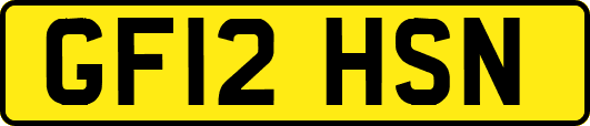 GF12HSN