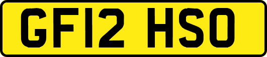 GF12HSO