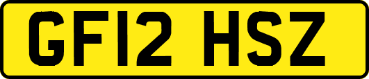 GF12HSZ