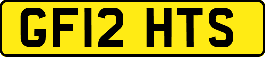 GF12HTS