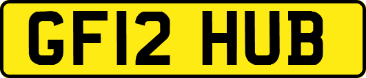 GF12HUB