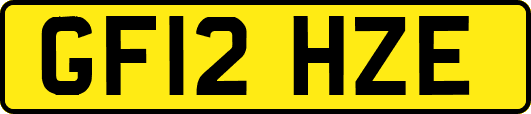 GF12HZE