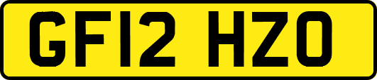 GF12HZO