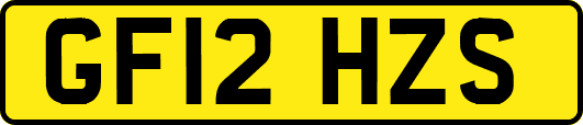 GF12HZS
