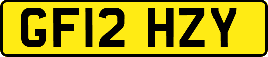 GF12HZY