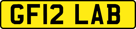 GF12LAB