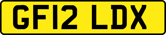 GF12LDX