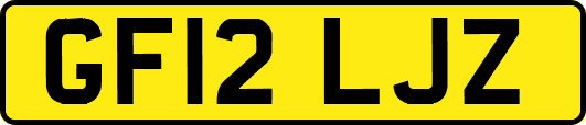 GF12LJZ