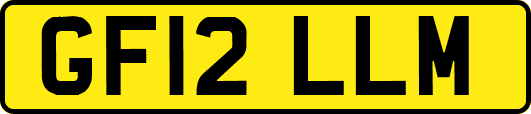 GF12LLM