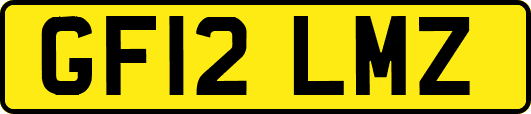 GF12LMZ