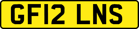 GF12LNS