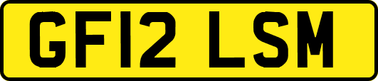 GF12LSM