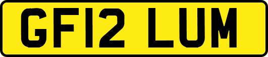 GF12LUM