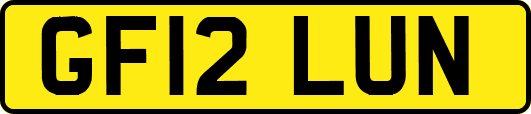 GF12LUN