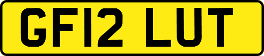 GF12LUT