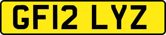 GF12LYZ
