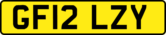 GF12LZY