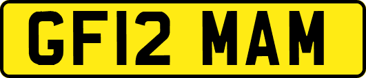 GF12MAM