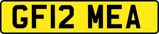 GF12MEA