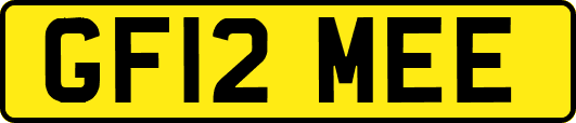 GF12MEE