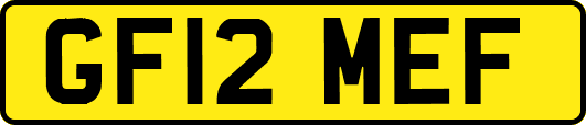 GF12MEF