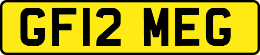GF12MEG