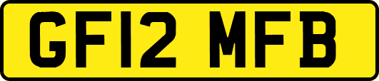 GF12MFB
