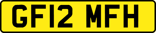 GF12MFH