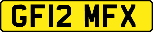 GF12MFX