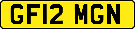 GF12MGN