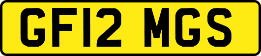 GF12MGS