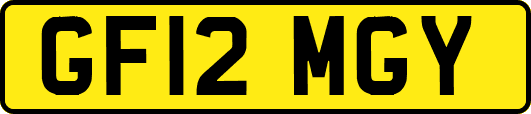 GF12MGY