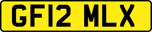 GF12MLX