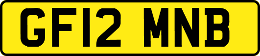 GF12MNB
