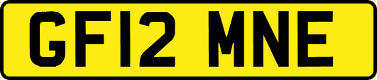 GF12MNE