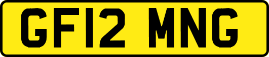 GF12MNG