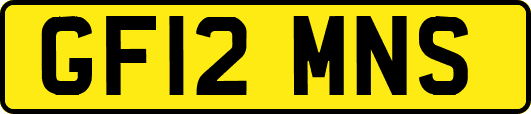 GF12MNS