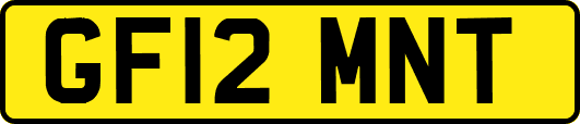 GF12MNT